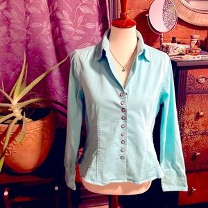 Classy princess seam, button down shirt